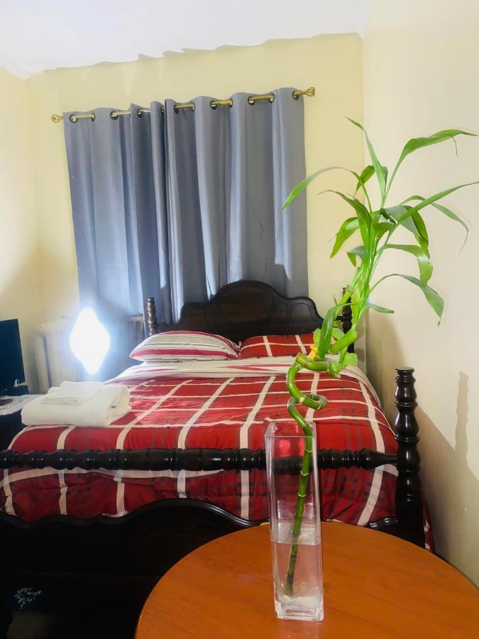 Cozy Comfort In Brooklyn New York Extérieur photo